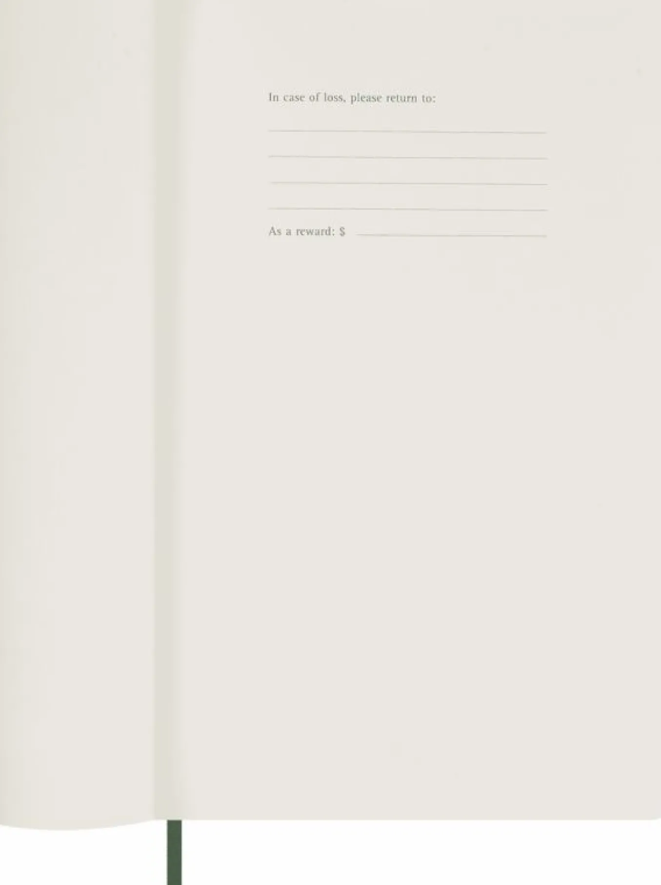 Classic Planner 2025 Large Weekly, soft cover, 12 months Myrtle Green