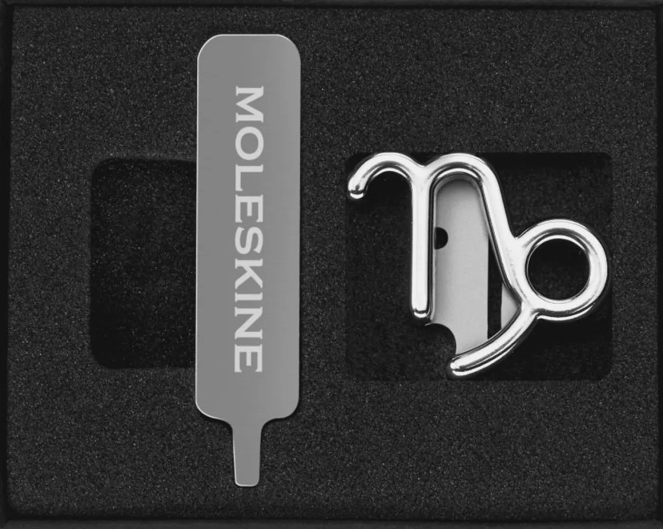 Letters and Symbols Capricorn Silver