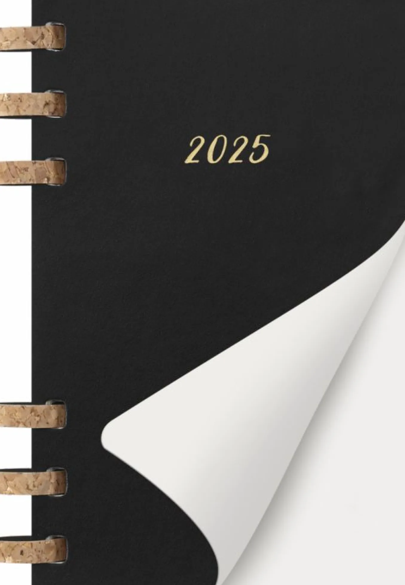 Life Planner 2025 L 12-Month, Spiral Black