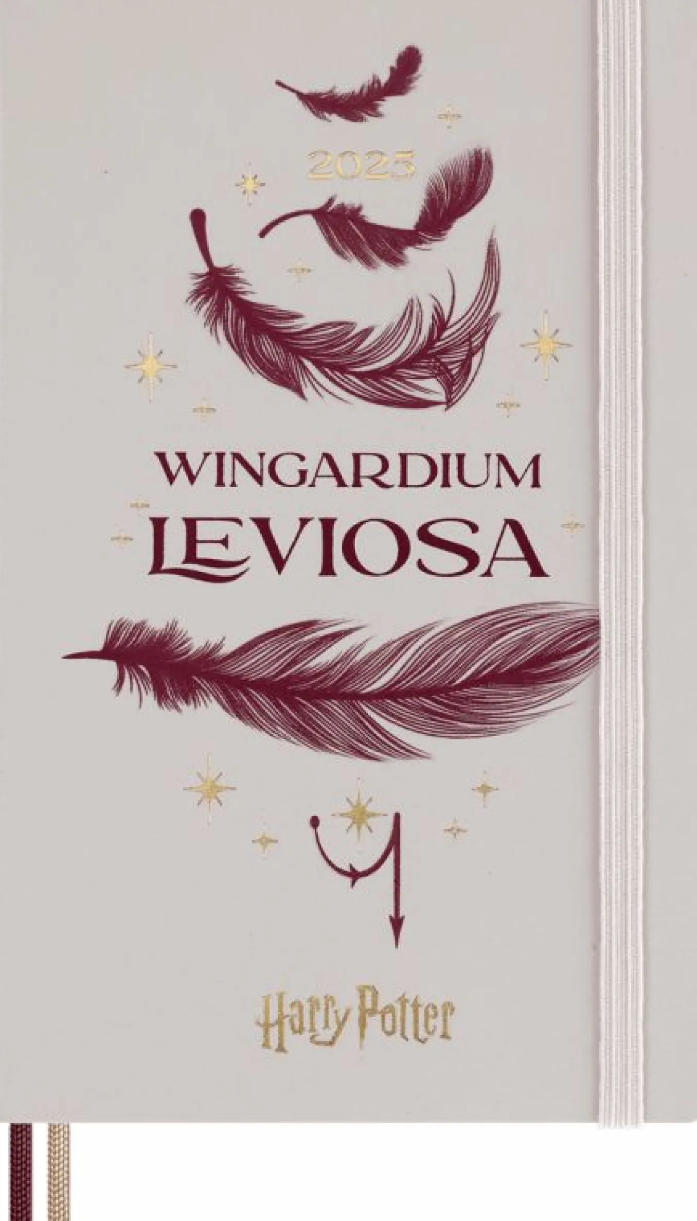 Wizarding World Harry Potter Limited Edition 12-Month Weekly Notebook Diary/Planner, Large Hard Wingardium leviosa