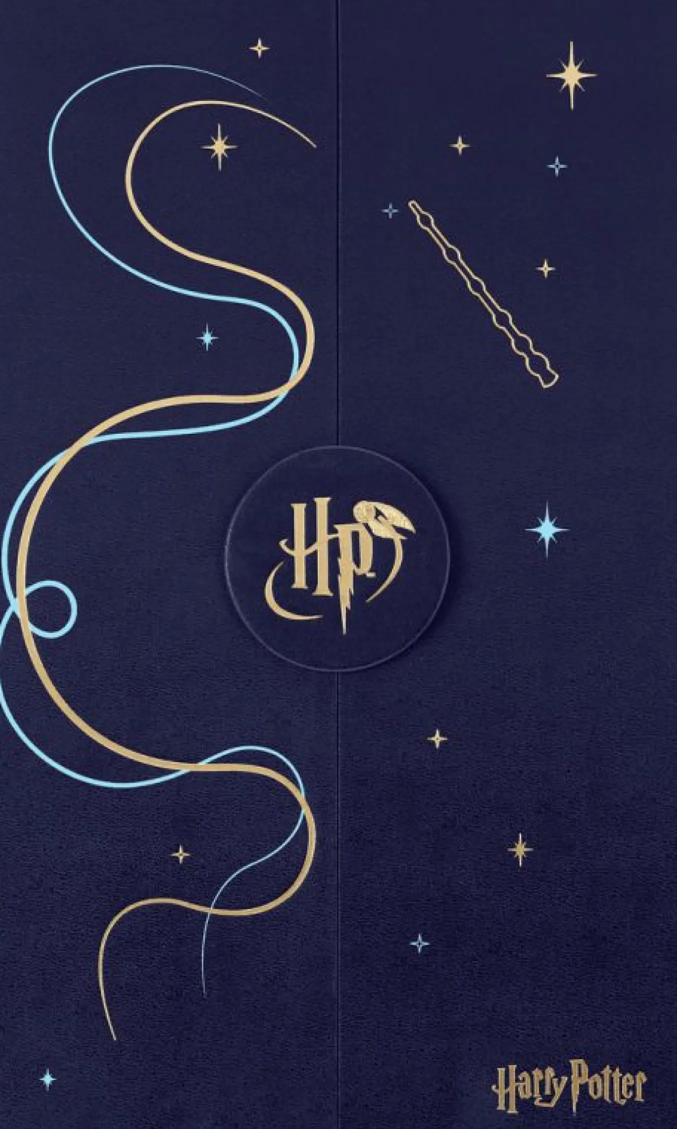 Wizarding World Harry Potter Limited Edition Collector's Box,Protego Maxima Protego maxima