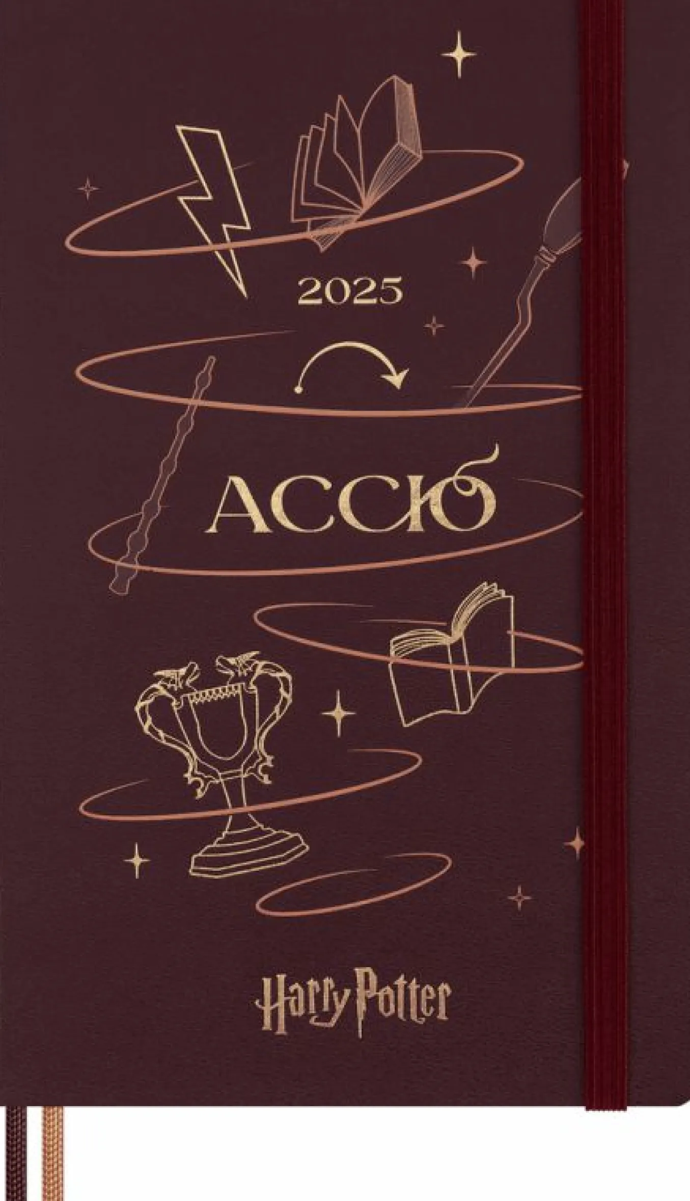 Wizarding World Harry Potter Limited Edition 12-Month Daily Diary/Planner, Large, Hard Cover Accio