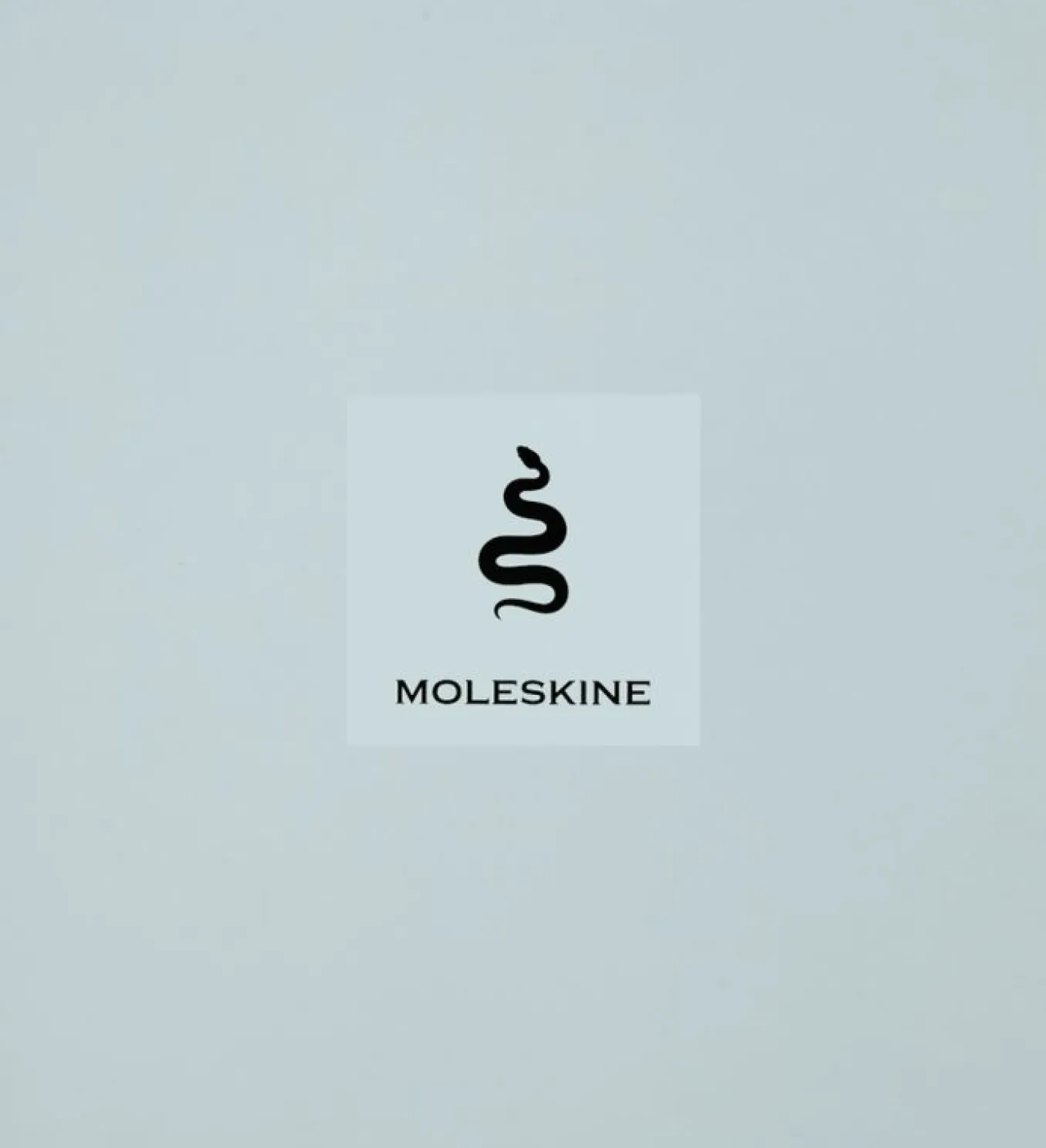 Year of the Snake Luxury Collector's Box Notebook, Planner, Fountain Pen and Pin Multi-color