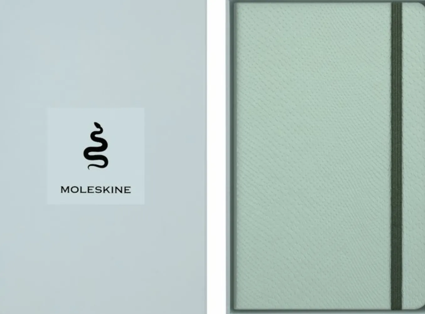 Year of the Snake Notebook Large, Ruled, 100% VEGEA&reg; Hard Cover & Gift Box Sage Green